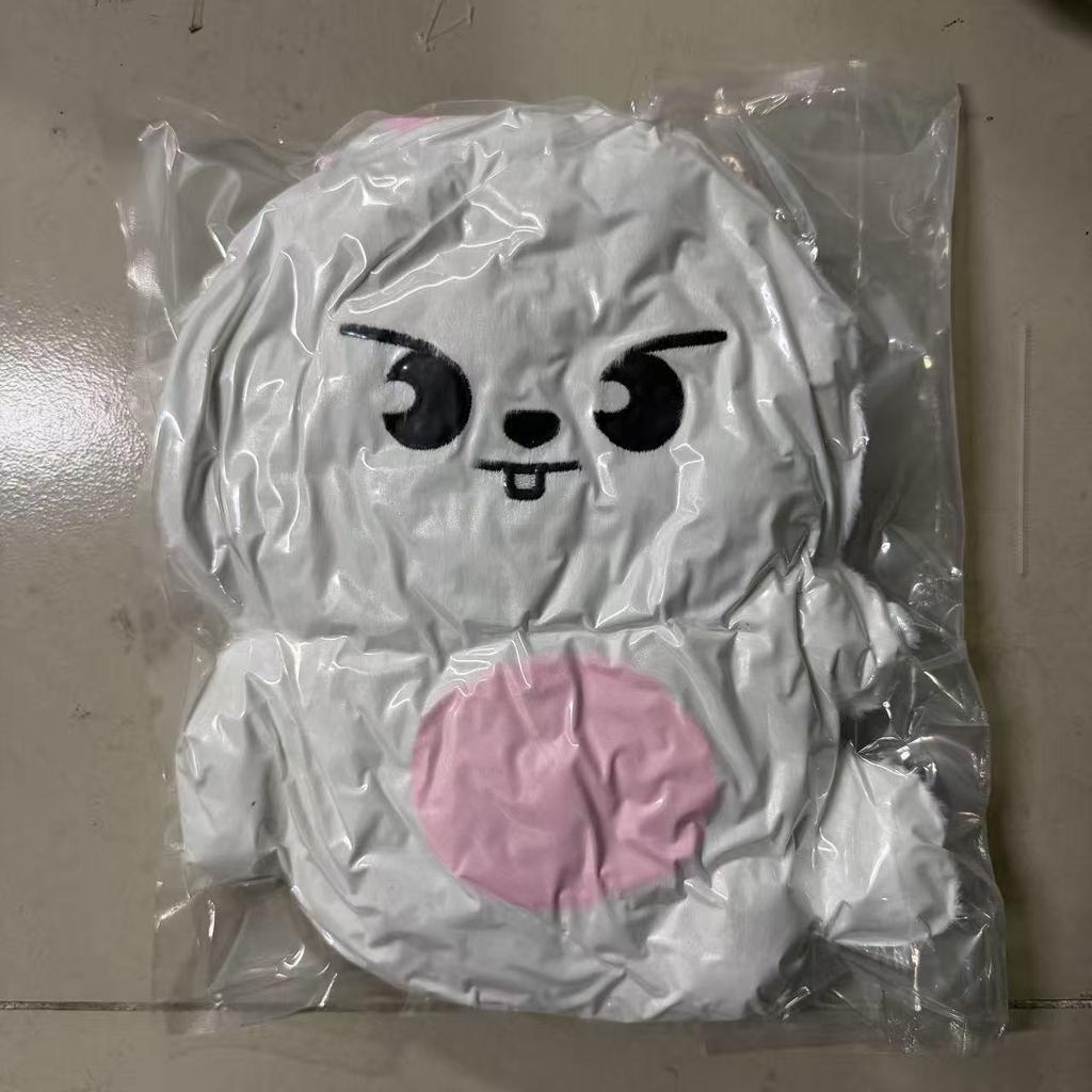 Nieuwste Grote SKZOO Stray Children Teddy Pluche Knuffelkussen Pop Fans Cadeau Pluche Speelgoed Seoul FM Week Cape Pop Magische School Kind Verjaardag Cadeau