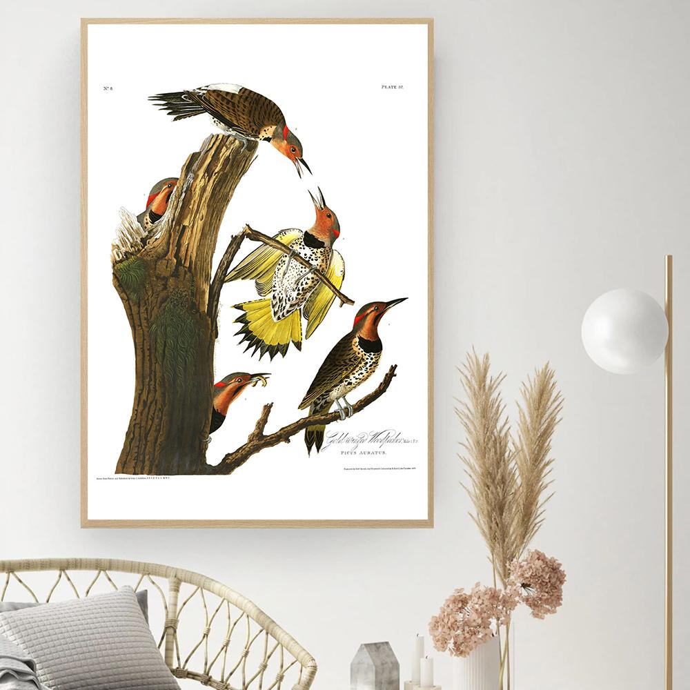 Retro American Birds Illustrations Print Vintage Poster Bird Tree Wall Art Canvas Painting For Living Room Home Decor No Frame (with Frame)