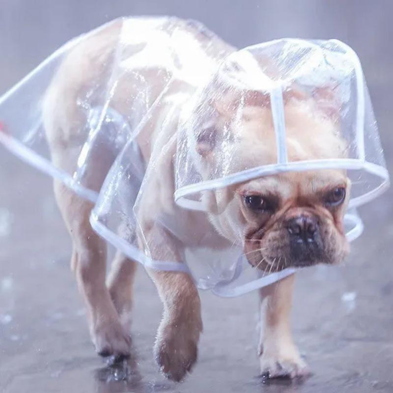 1Pc Dog Raincoat Small Dog Pet Dog Raincoat Transparent Raincoat Pet Clothing Waterproof