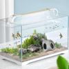 Cave For Aquarium Fish Tank Rock Decor Aquarium Shrimp Resting House For Decoration Hermit Crab Breeding Nest