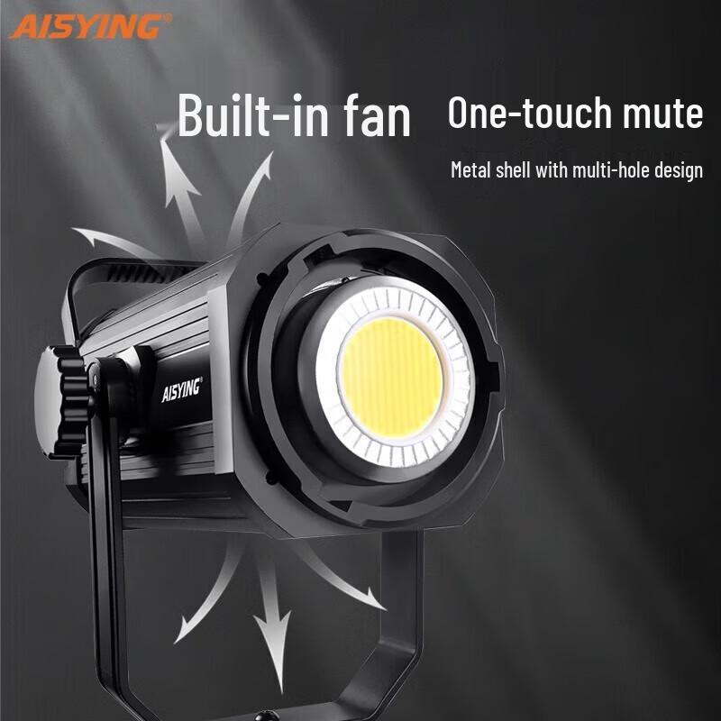 Wolfgang B300S 300W LED Continuous Photography Light