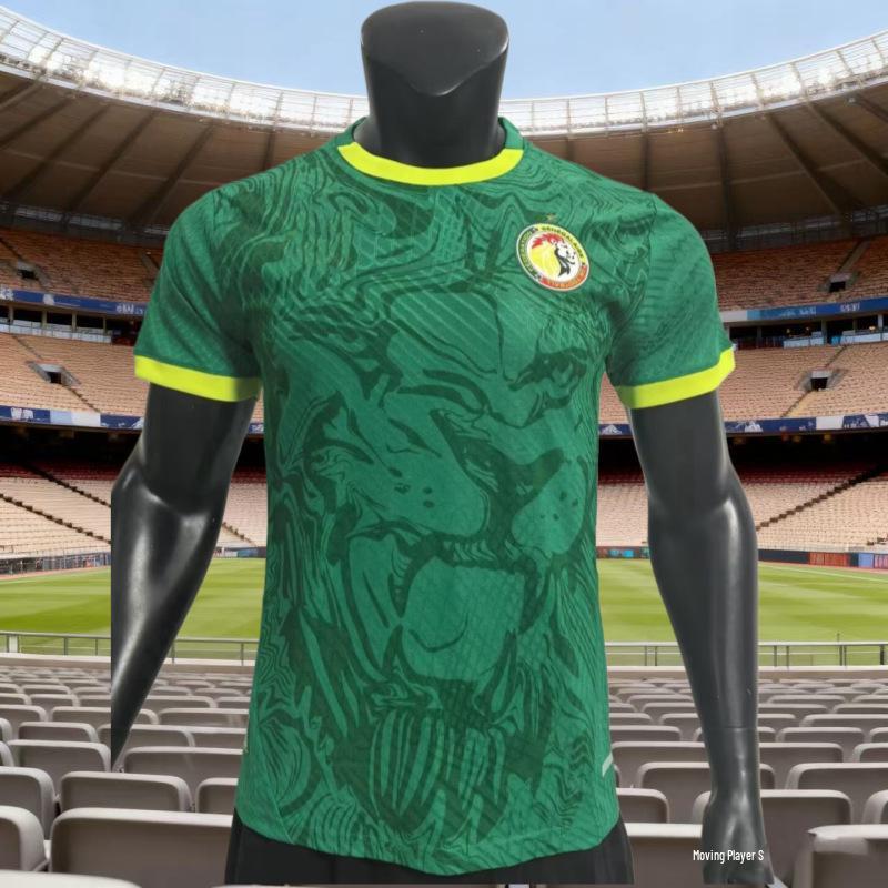 African National Team Jersey 2526 - Player Edition Home/Away Football Kit for Cameroon, Morocco, Ivory Coast, and Egypt Extra Large