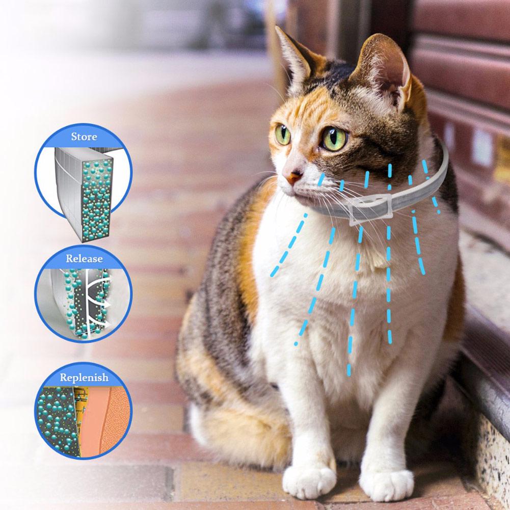 Cat Waterproof Protection Adjustable Insect Collar Shield Tick Anti Dog Flea Mosquitoes Shoe bag sho
