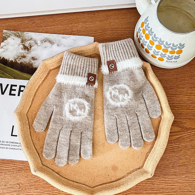 Knitted Wool Gloves Winter Warm Touch Screen Cute New Cartoon Cold-proof Men and Women Five-finger Label Style