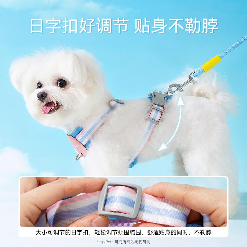 Pet Leash Chest Back Than Bear Small and Medium Dog Vest Type Dog Leash Going Out To Walk Cat Dog Leash Dog Leash