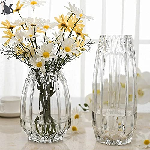 Set of 2 30cm Clear Glass Vases, Flower Bases, Glass Bottles, Perfect for Arranging Flowers, Hydroponics, Ikebana, and Artificial Flowers, Stylish and