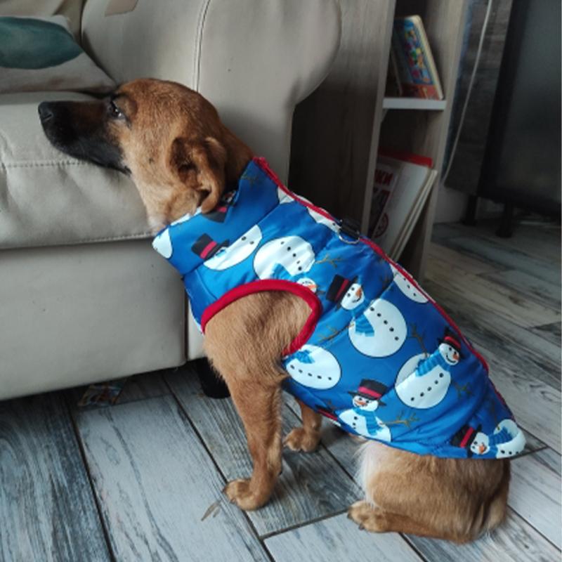 Hundekleidung für kleine Hunde Yorkia Mini Chihuahua Hundekleidung Winterkatzenjacke Mantel für Mopswelpen Daunenmantel Sphynx Haustierbekleidung