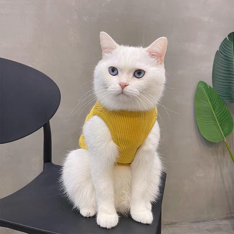 

Универсальный милый топ-майка с медведем для французского бульдога и кошки XXL: Chest 54, Neck 38, Back 34