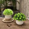 Home Homestay Ornaments: Mini Potted Green Plant for Office Conference Room Decor