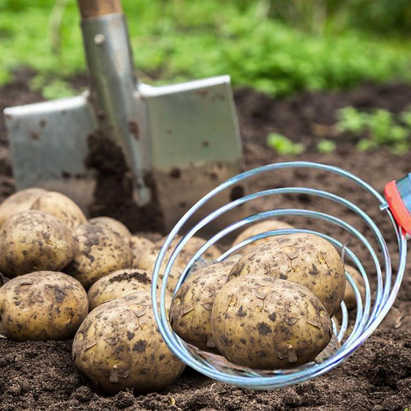 Rola Colector Nuci 42.13-Inch Colector Nuci Nevăstuică Instrument de Prindere Manual Colector Coji Instrument Flexibil de Cules Ghinde Pentru Exterior