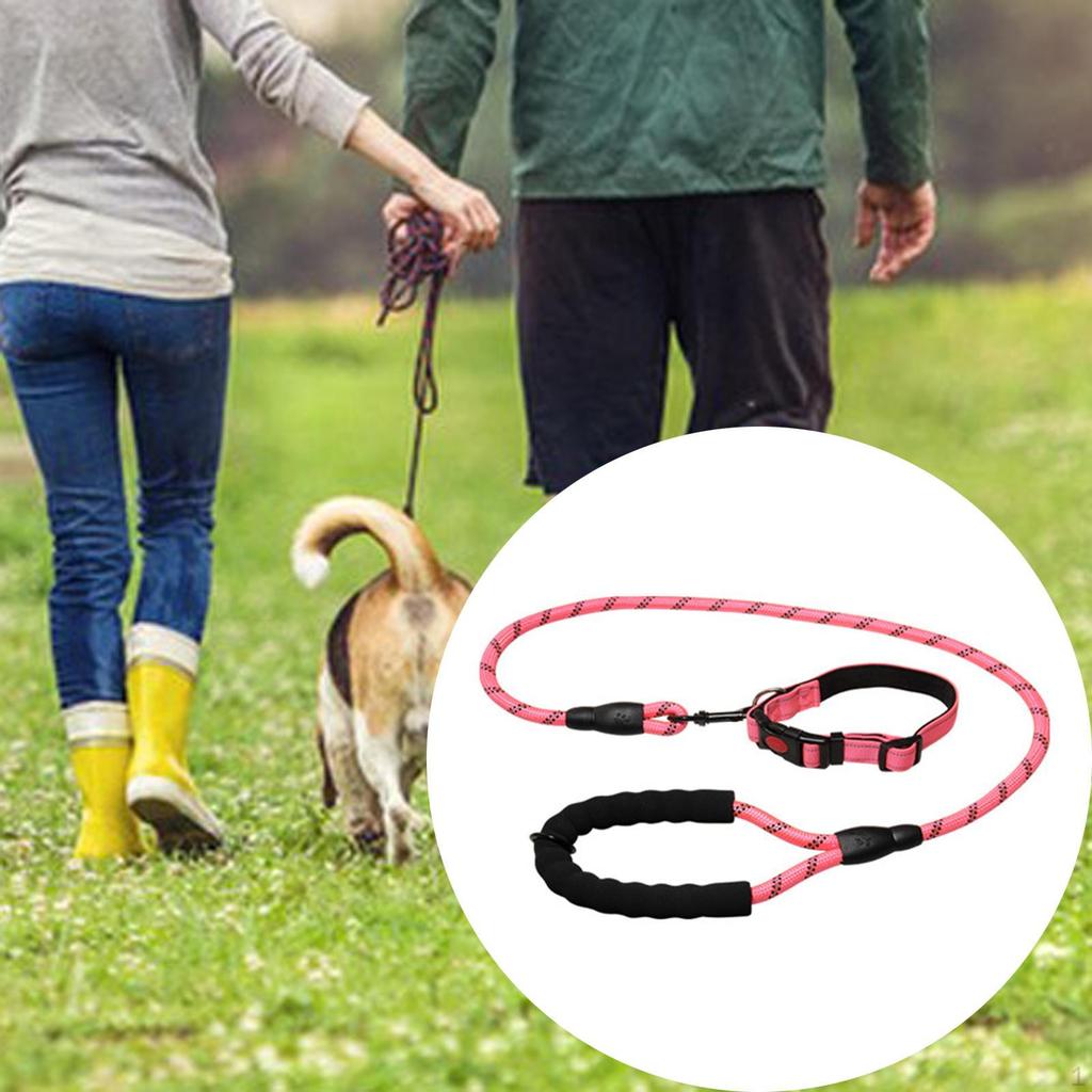 Dog Leash for