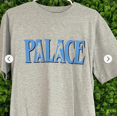 WINTER 2022 PALACE PLEASE T-SHIRT GREYMARL Unisex T-Shirt