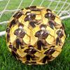 Genshin Impact Print Size 5 Soccer Ball, Standard Match Football for Sports Game and Team Practice, Ideal Gift for Soccer Fans
