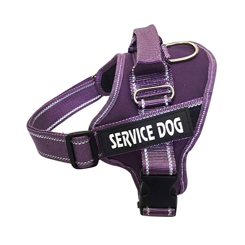 Personalized Reflective Dog Harness for Large Dogs