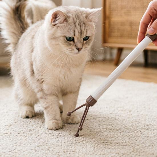 Retractable Cat Back Scratcher, Long Handle Cat Face Massager, Double-Sided Massage Head, Gentle Grooming Tool, 2-in-1 Cat Wand Toy for Indoor Cats