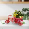 Bicycles Woven Basket Versatiles Rattans Bike Mounted Planter For Indoor Outdoor Flower Arrangements