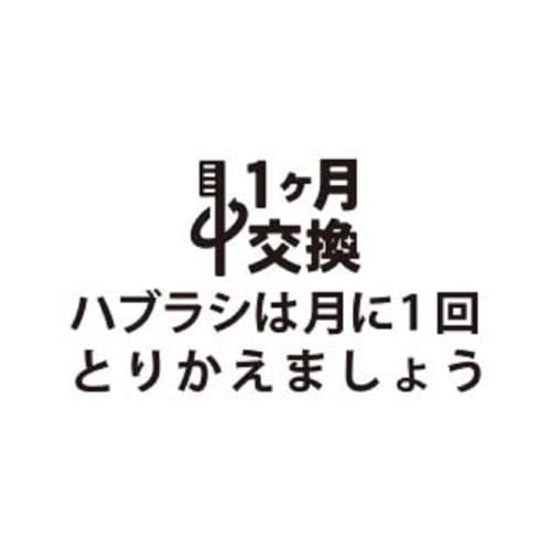 L APIS: Lapis Baby Toothbrush, Dentist-Recommended, Happy Colors, 12-Pack, Animal-Patterned, Baby Teething Safe Design, Gift for Babies Ages 1, 2, and