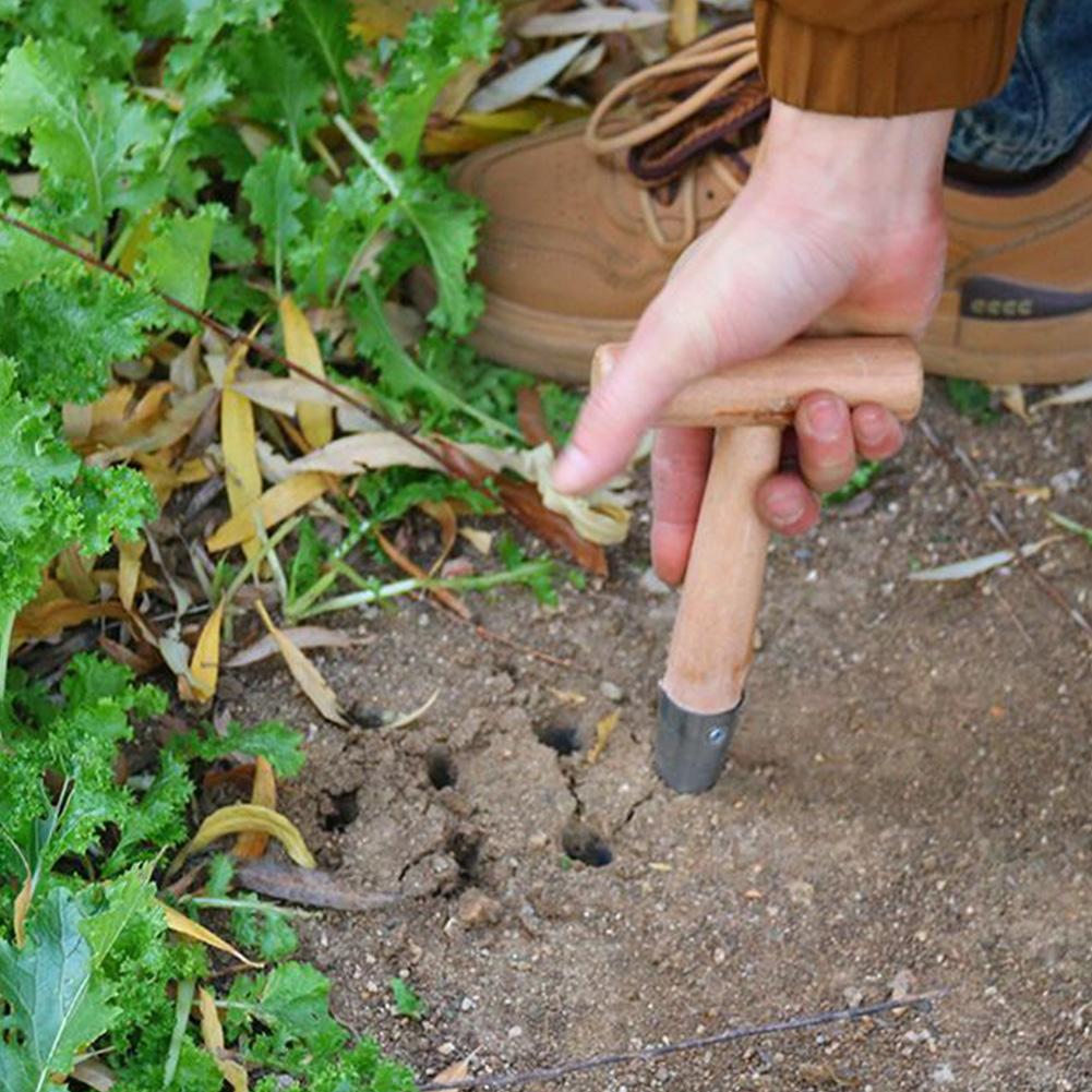Hand Dibber Stainless Steel Seed Planter Tool With Wood Handle Garden Dibber for Transplanting Plants Planting Bulb Digging