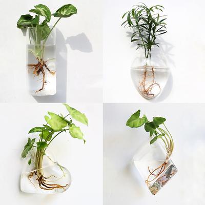 Vase à fleurs en verre suspendu au mur tendance Terrarium Récipient aquarium mural Décoration maison jardin