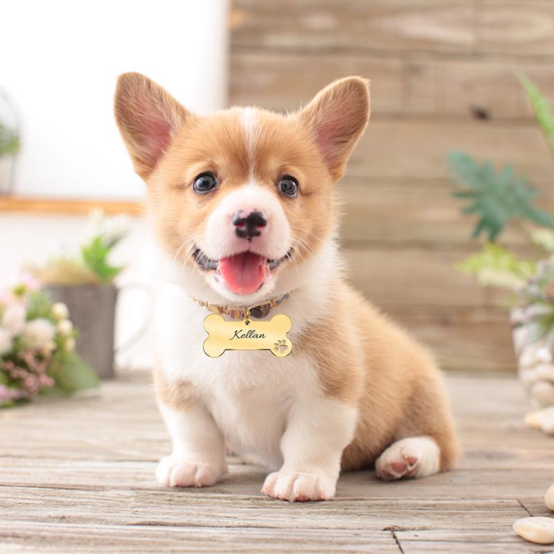 Hollowed Paw Shaped Collar  Pendant Engraved Dog Name Label Stainless Steel Shiny Puppies Tags