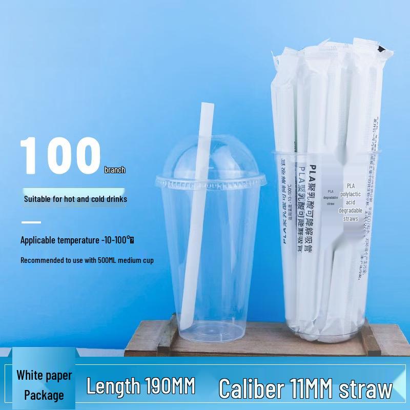 Individually Wrapped Sugarcane Pulp Straws