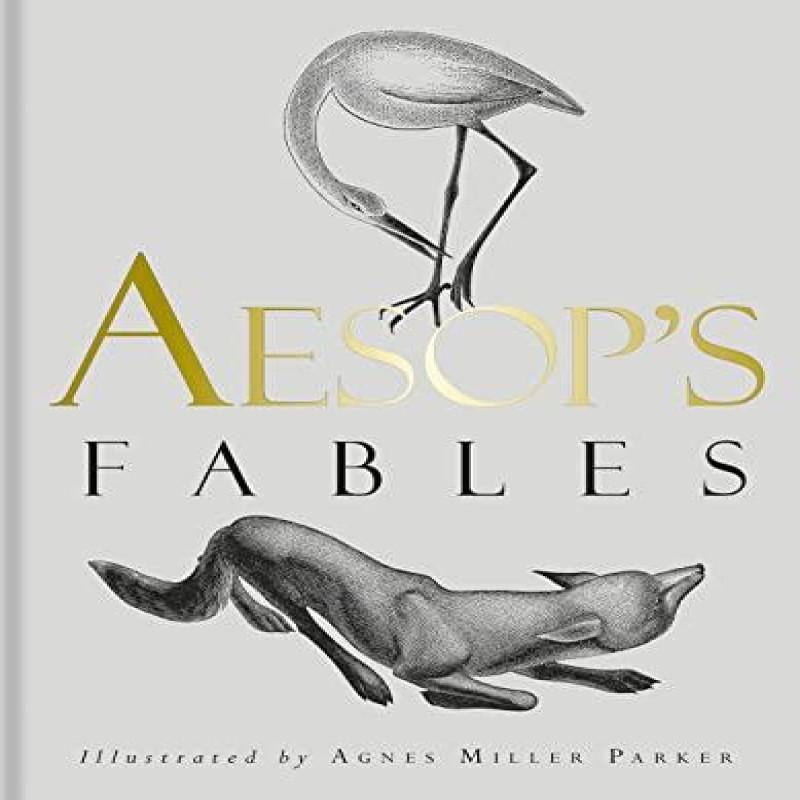 Aesops Fables Hardback Book 9781851245376