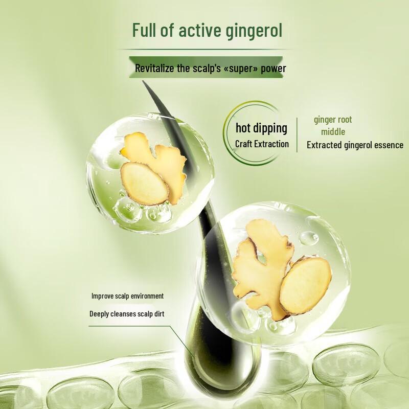 Schwarzkopf Ginger Essence Oil Control Shampoo