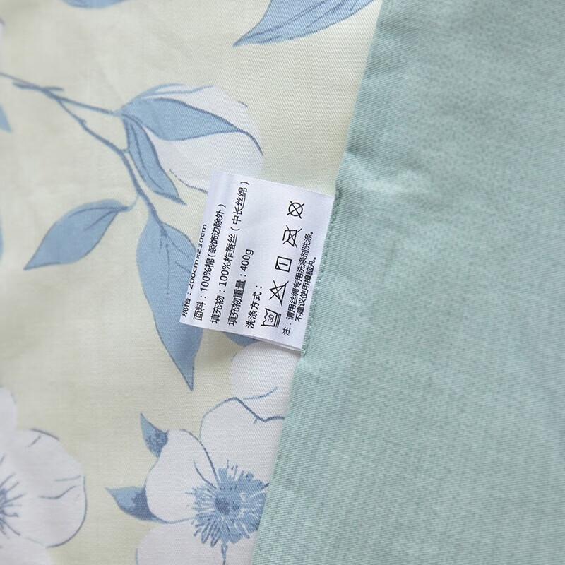 Taihu Snow Tussah Silk & Cool Fiber Quilt