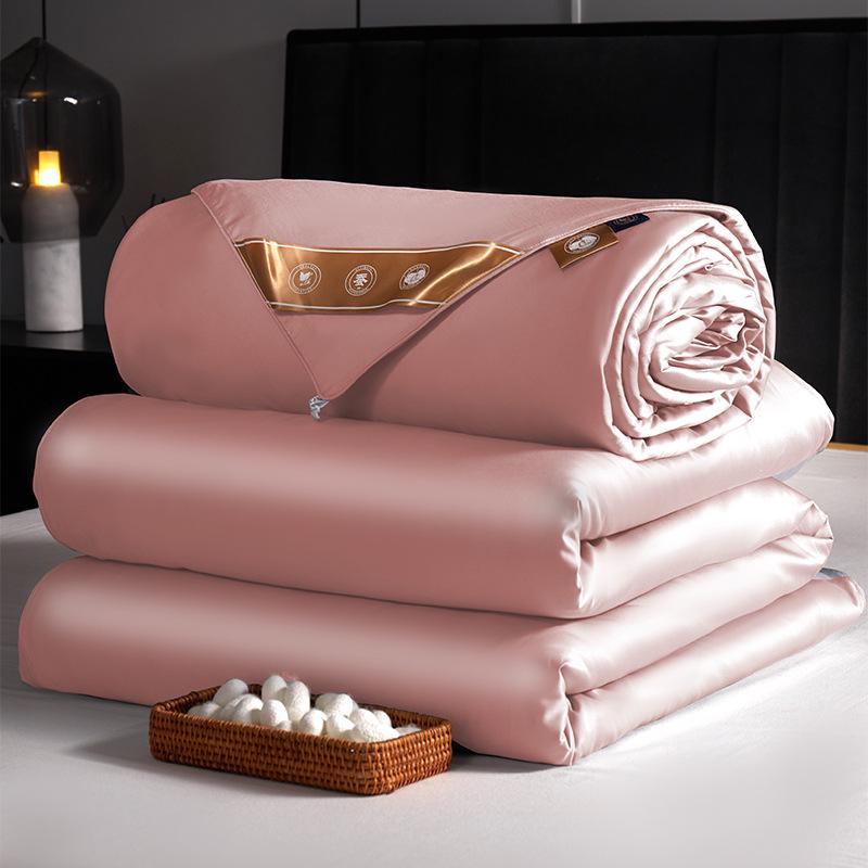 

Light Luxury Silk & Cotton Quilt - 100% Mulberry Silk, All-Season Two-in-One Parent-Child Quilt 150x200cm [3.3 lbs Summer Quilt]