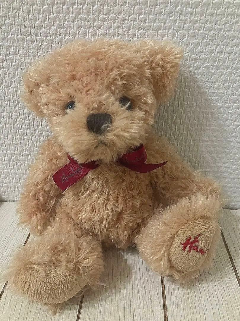 

[USED] London Teddy Bear, Palm-sized, Hamleys, Artist, Plush Toy