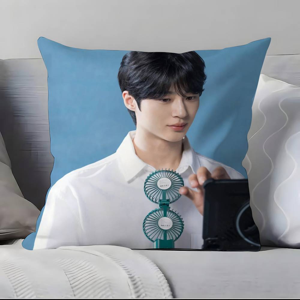 B-B-Byeon W-W-Woo-seok Pillow Case Pillowcase Soft Skin Friendly & Comfortable With A Hidden Zipper