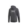 Adidas Terrex Logo Hooded Pullover Sweatshirt Men Outerwear Gray FJ5039