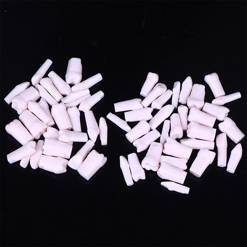 28/32Pcs Dental Typodont Teeth Model Removable Individual Screw-In Resin Training Aid Denture Practice Replacement Tooth