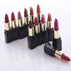 12Pcs/Lot  Professional Lipstick Set Matte Cream Waterproof Velvet Lips Tint Lipsticks