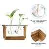 Hydroponic Glass Vase Propagation Vases Plant Vases with Wooden Stand Planter Flower Pots Terrarium Tabletop Home Decoration