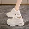 Inner Height Increase Women's Single Shoes 2024 Spring New Breathable Dad Shoes Platform Mesh Small Sports Casual Shoes Women