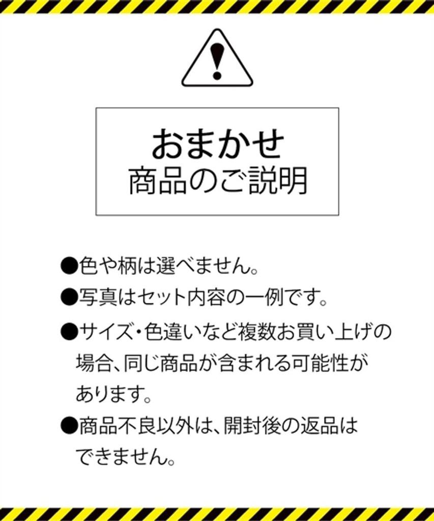 Innerwear Random Lucky Bra and Shorts Set Set [Nissen] Women's Set, Bag, 3-Piece (Triumph) 3-Piece (Random) F95/4L