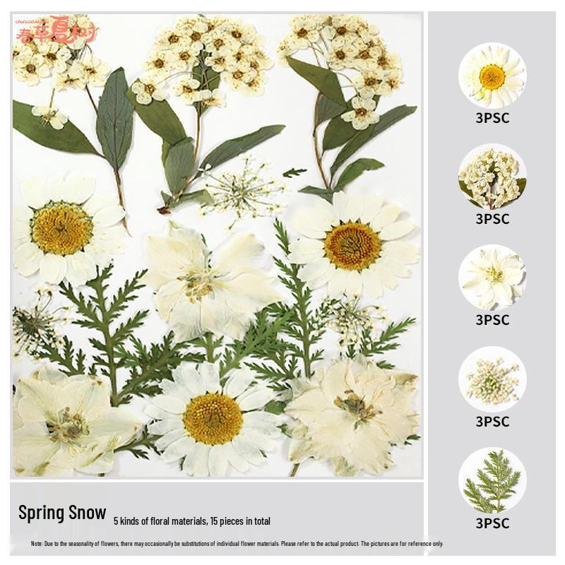 Handmade Pressed Flower Bookmark and Epoxy Sticker Pack with Real Leaf and Plant Specimens for DIY Face Makeup.