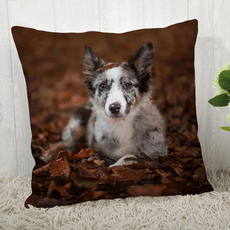 Pillowcase Border Collie  Modern Home Living Room Decor