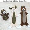 Cartoon Bear Toy for Dogs Tossing Molar Improving Pet Digestion Molar Chew Toy Great Dental Chew Tug Toy