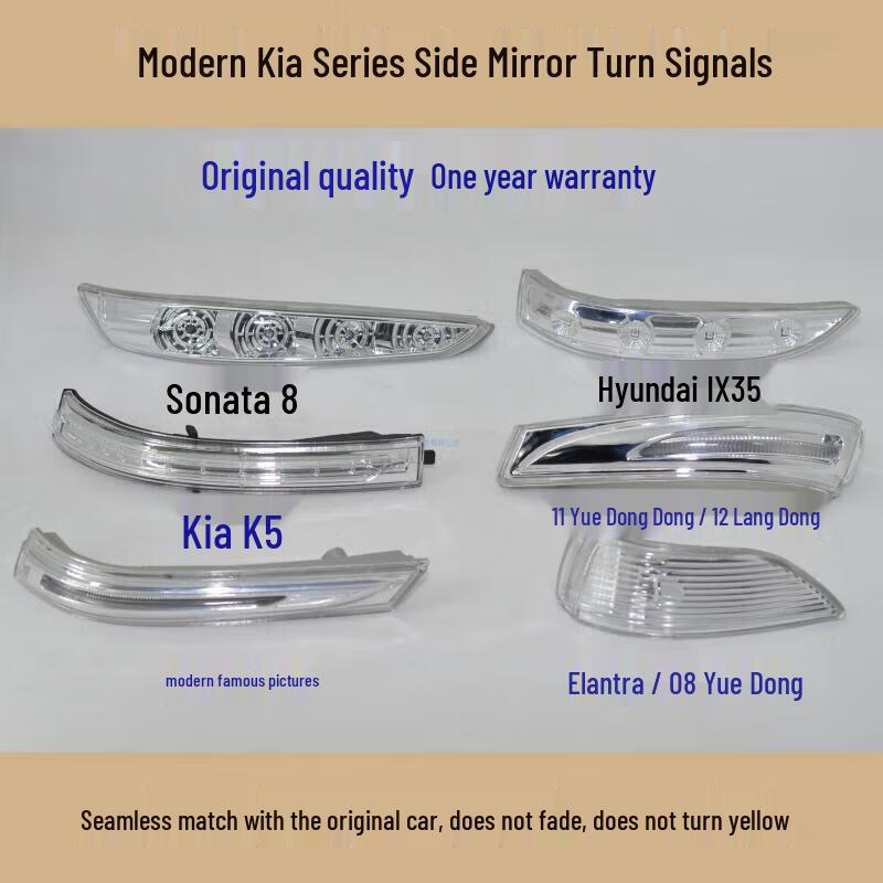 

Compatible Rearview Mirror Turn Signal & Reversing Lamp Cover for Hyundai (Mistra, Langdong, Yue Dong, Elantra, Sonata 8) & Kia (K5, K4). 08 Yuedong/11 Elantra Driver