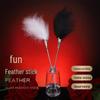 Flirtatious Feather Wand: Sensual Teasing Hairpin for Adult Play