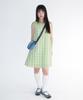 Ames Worldwide Check Layered Dress Green