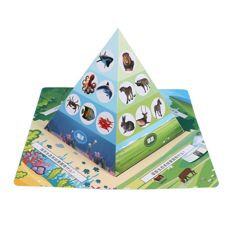 Kindergarten Food Chain Pyramid DIY Kit: Innovative Science Experiment for Children Paper
