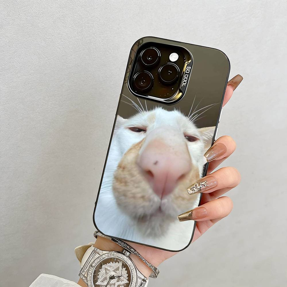 Funny Cat Phone Case  Phone Case For iPhone 17,16,15,14,13,12,11 Plus,Pro Max,XS,Colored Silver Plated Inside Cover