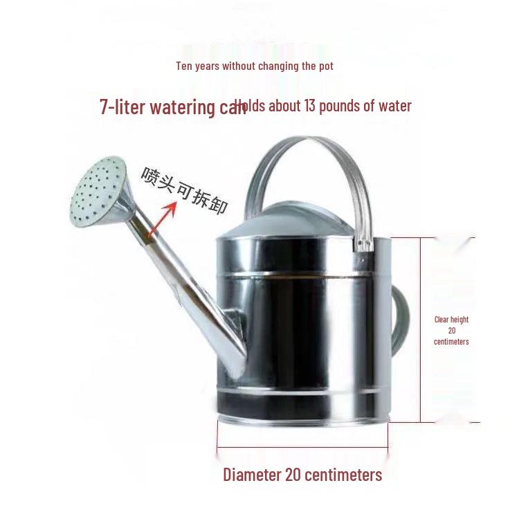 Stainless Steel Large Capacity Watering Can with Movable Handle and Sprayer