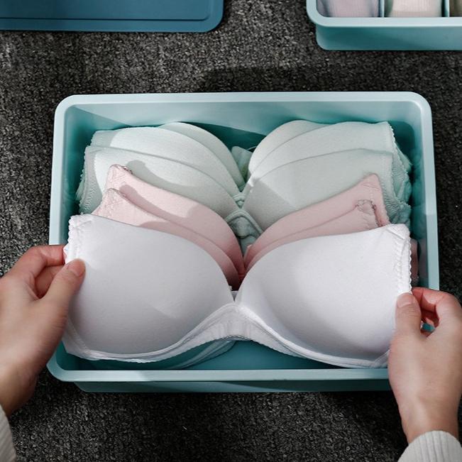 Home Drawer-style Sock Storage BoxBra and Underwear Compartment-organized Box