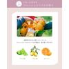 Orna Organic Treatment Moisture Additive-Free Beauty Ingredients Made in Japan (500ml)