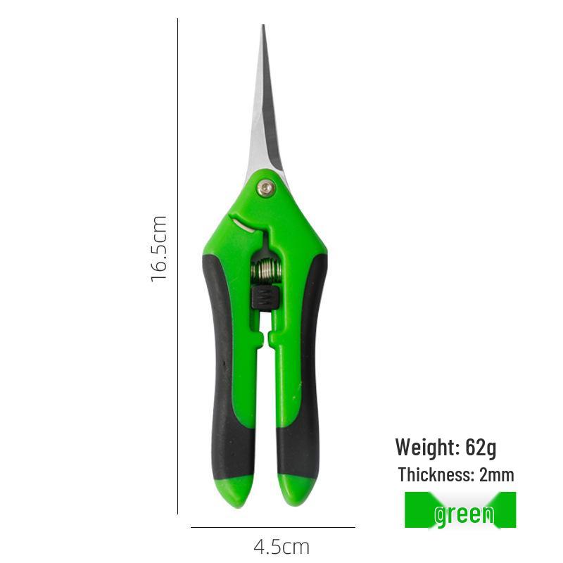 Garden Pruning Shears for Flowers and Fruit