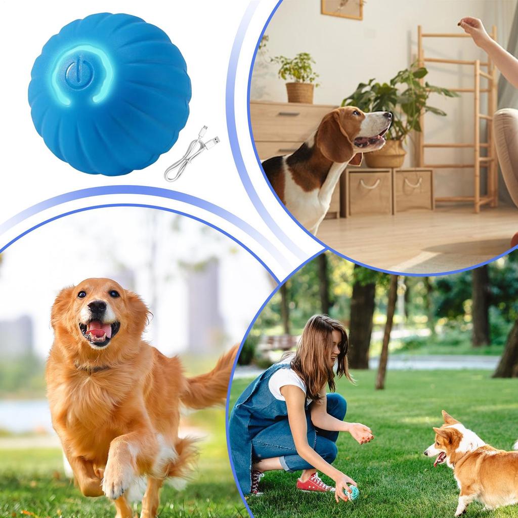Interactive Dog Toys Automatic Interactive Type-C Rechargeable Pet Games Small Dog Toys For Indoor Outdoor Play Training